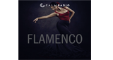 Calm Radio Flamenco
