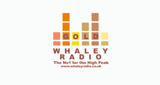 Whaley Radio Gold