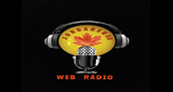 Web Rádio Jordanense