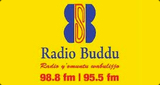 Radio Buddu 98.8FM and 95.5FM