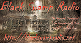 Black Swamp Digital Radio