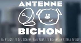 Antenne Bichon