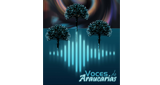 Radio Voces de Araucaria