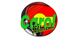 Carol 96.1 FM