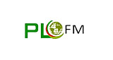 PLFM Radio