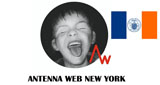 Antenna Web New York