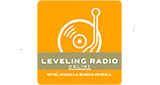 Leveling Radio Online