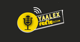 Yaalex Radio