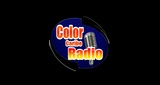 Color Caribe Radio Online-Reggaetoneando Stereo