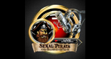Señal Pirata Zamora