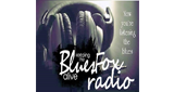 Blues Fox Radio