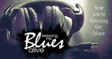 Blues Fox Radio