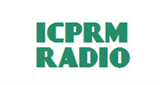 ICPRM Network Group Station