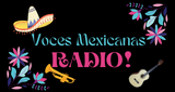 Regional Mexicano Radio