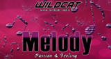 WildCat - Melody