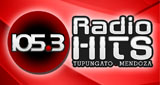 Radio Hits