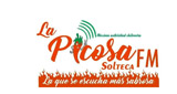 La Picosa Solteca