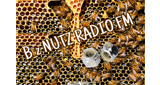 B_z NUTZ RADIO FM