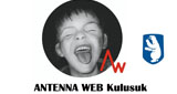Antenna Web Kulusuk