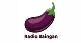 Radio Baingan