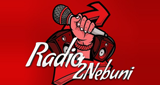 Radio2Nebuni