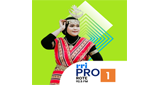 RRI Pro 1 - Rote