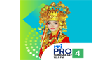 RRI Pro 4 - Sungailiat