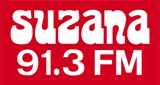 Suzana 91.3 FM