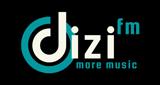 DiZi FM