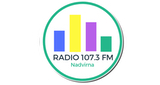 Радіо Надвірна 107.3 Fm