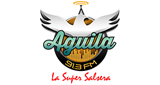 Aguila 91.3 Fm