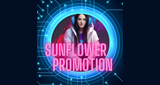 Sunflower Promotion Main