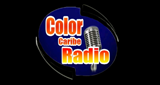 Color Caribe Radio Online-Salsa Pura Stereo