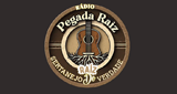 Rádio Pegada Raiz