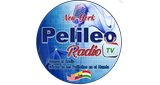 Pelileo Radio Tv