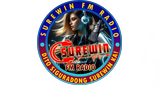 Surewin Fm Radio