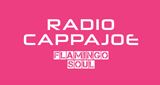 Radio Cappajoe - Flamingo Soul