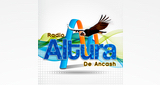 Radio Altura De Ancash