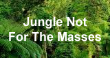 HearMe - Jungle Not For The Masses 