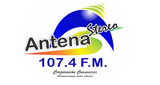 Antena Stereo FM