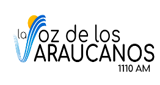 LA VOZ DEL RIO ARAUCA