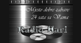 Radio Hari