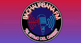 Bachaurbana.com