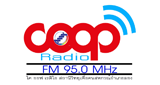 Coop Radio Long 95
