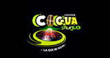 Cogua stereo