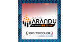 Radio Arandú