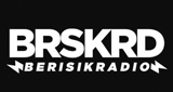 Berisik Radio