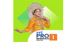 RRI Pro 1 - Bengkalis