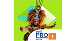 RRI Pro 1 - Bovendigul