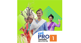 RRI Pro 1 - Tahuna